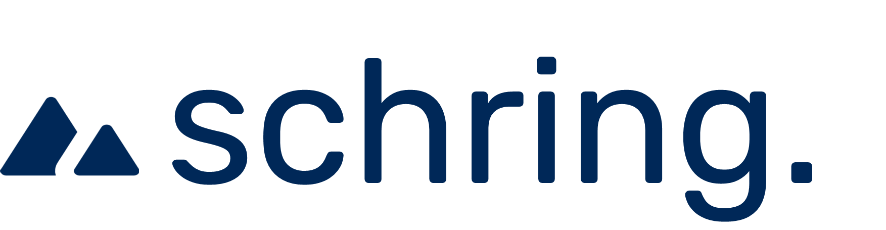Schring IT Consulting